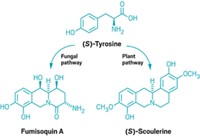 Serving the chemical, life science, and laboratory worlds