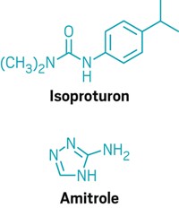 Serving the chemical, life science, and laboratory worlds