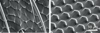 Serving the chemical, life science, and laboratory worlds