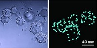 Serving the chemical, life science, and laboratory worlds