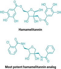 Serving the chemical, life science, and laboratory worlds