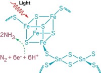 Serving the chemical, life science, and laboratory worlds