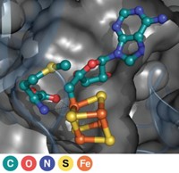 Serving the chemical, life science, and laboratory worlds