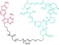 Serving the chemical, life science, and laboratory worlds