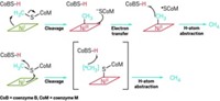Serving the chemical, life science, and laboratory worlds