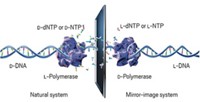 Serving the chemical, life science, and laboratory worlds