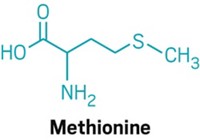 Serving the chemical, life science, and laboratory worlds