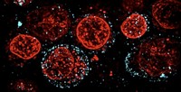 Serving the chemical, life science, and laboratory worlds