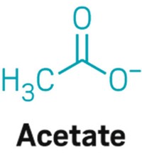 Serving the chemical, life science, and laboratory worlds