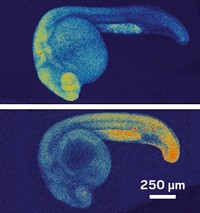 Serving the chemical, life science, and laboratory worlds