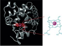 Serving the chemical, life science, and laboratory worlds