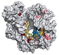 Serving the chemical, life science, and laboratory worlds