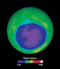 Serving the chemical, life science, and laboratory worlds