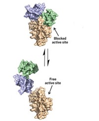 Serving the chemical, life science, and laboratory worlds