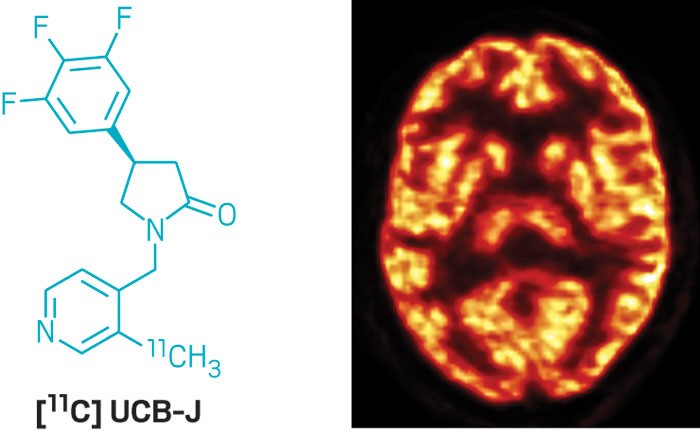 new-radiotracer-allows-scientists-count