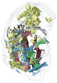 Serving the chemical, life science, and laboratory worlds