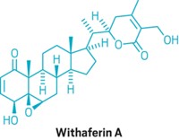 Serving the chemical, life science, and laboratory worlds