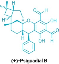 Serving the chemical, life science, and laboratory worlds