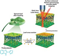 Serving the chemical, life science, and laboratory worlds