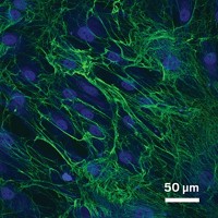Serving the chemical, life science, and laboratory worlds