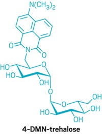 Serving the chemical, life science, and laboratory worlds