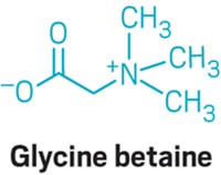 Serving the chemical, life science, and laboratory worlds