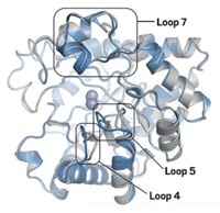 Serving the chemical, life science, and laboratory worlds