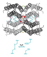 Serving the chemical, life science, and laboratory worlds