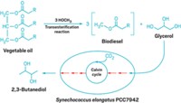 Serving the chemical, life science, and laboratory worlds