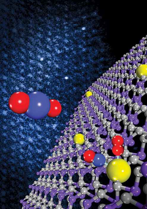 Taking-catalysis-atomic-limit