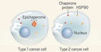 Serving the chemical, life science, and laboratory worlds