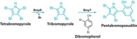 Serving the chemical, life science, and laboratory worlds