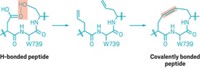 Serving the chemical, life science, and laboratory worlds