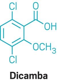 Serving the chemical, life science, and laboratory worlds