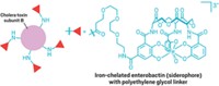 Serving the chemical, life science, and laboratory worlds