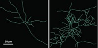 Serving the chemical, life science, and laboratory worlds