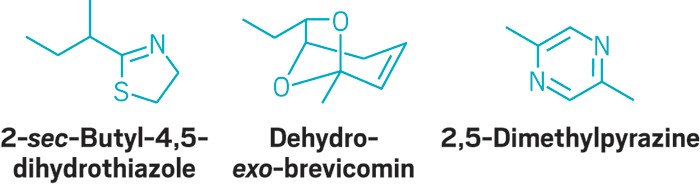 Human Pheromones Structure Agricultural Pheromones Market Industry