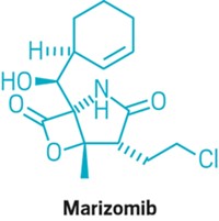 Serving the chemical, life science, and laboratory worlds