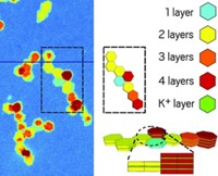 Charged sulfurous polymers sop up metals