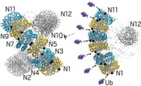 Serving the chemical, life science, and laboratory worlds