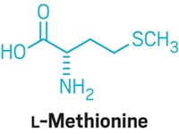 Serving the chemical, life science, and laboratory worlds