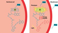 Serving the chemical, life science, and laboratory worlds