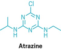 Serving the chemical, life science, and laboratory worlds