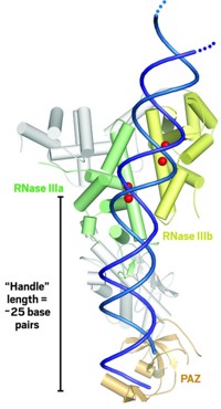 Serving the chemical, life science, and laboratory worlds