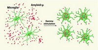 Serving the chemical, life science, and laboratory worlds