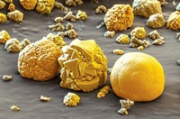Serving the chemical, life science, and laboratory worlds