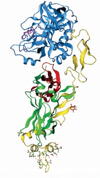 Serving the chemical, life science, and laboratory worlds