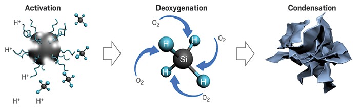 Nanoparticles-deprive-tumors-oxygen