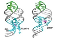 Serving the chemical, life science, and laboratory worlds