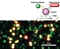 Serving the chemical, life science, and laboratory worlds